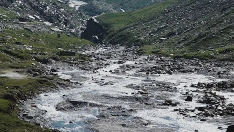 भारत-पाकिस्तान बॉर्डर पर हुई पेट्रोल की कीमतों की मजेदार बातचीत, पाक युवक का फनी रिएक्शन वायरल, VIDEO