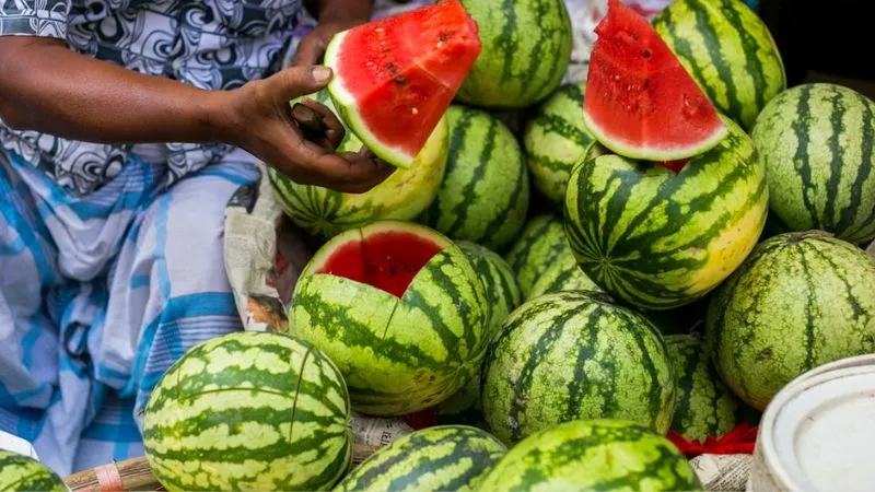 तरबूज में चूहे मारने वाली दवा से हुई चार लोगों की मौत, फोरेंसिक रिपोर्ट में खुलासा