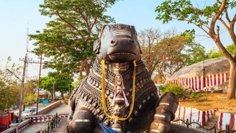 कहां है महादेव को प्रिय नंदी महाराज का भव्य मंदिर, यहीं पर गौतम ऋषि को मिला था आशीर्वाद