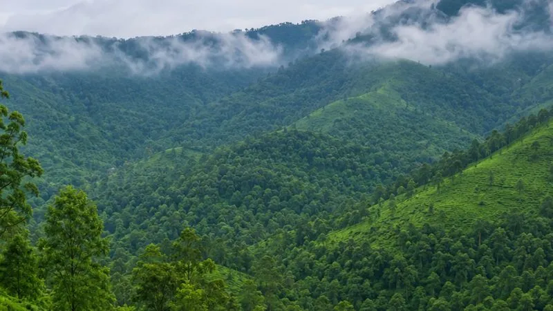 ये है मध्य प्रदेश का इकलौता हिल स्टेशन! Nature Lovers के लिए जन्नत, एडवेंचर के शौकीनों के लिए परफेक्ट destination