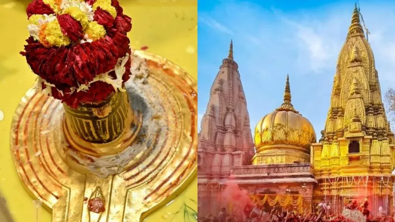 मासिक शिवरात्रि 2026: इस दिन करें इन चीजों का दान, मिलेगी भगवान शिव की कृपा, जानें पूजा का शुभ मुहूर्त