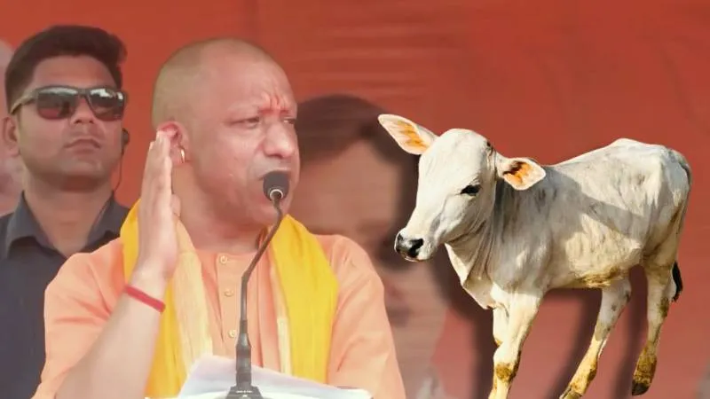 गांव-गांव खुलेंगे गोपैथी सेंटर, योगी सरकार का मेगा प्रोजेक्ट जल्द होगा तैयार