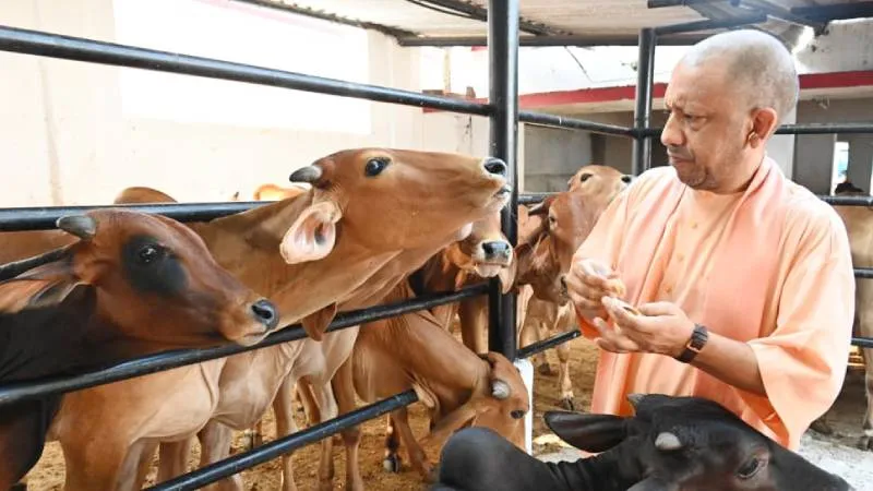 सीएम योगी के निर्देश पर गो संरक्षण से रोजगार, प्राकृतिक खेती और स्वदेशी ऊर्जा मॉडल तैयार