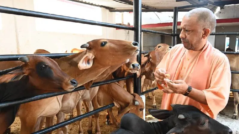 जैन महोत्सव में CM योगी का बड़ा संदेश, बोले- गोमाता सुरक्षित तो संस्कृति सुरक्षित