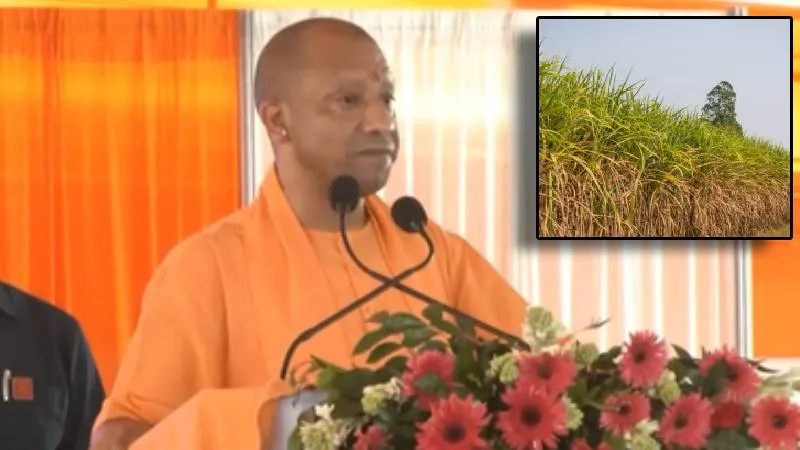 सीएम योगी की पहल, गन्ना समितियों के कॉलेजों में 3,500 छात्रों को मिलेगा स्किल डेवलपमेंट प्रशिक्षण