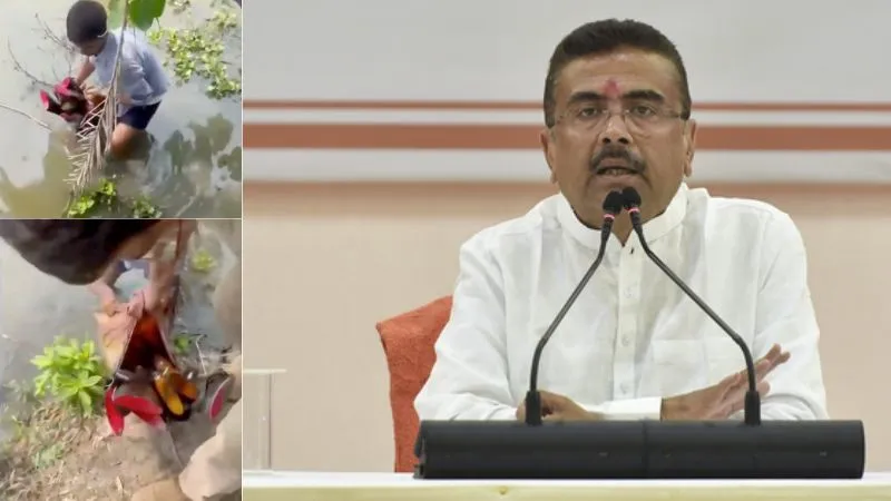 'काले दिन अब गए...', बंगाल में STF को मिली बड़ी कामयाबी, संदेशखाली में पानी के अंदर से ढूंढ निकाला हथियारों का जखीरा
