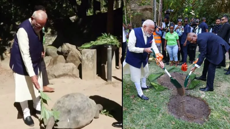सेशेल्स पहुंचे पीएम मोदी, 194 साल के कछुए को खिलाया खाना, राष्‍ट्रपत‍ि संग लगाया पौधा