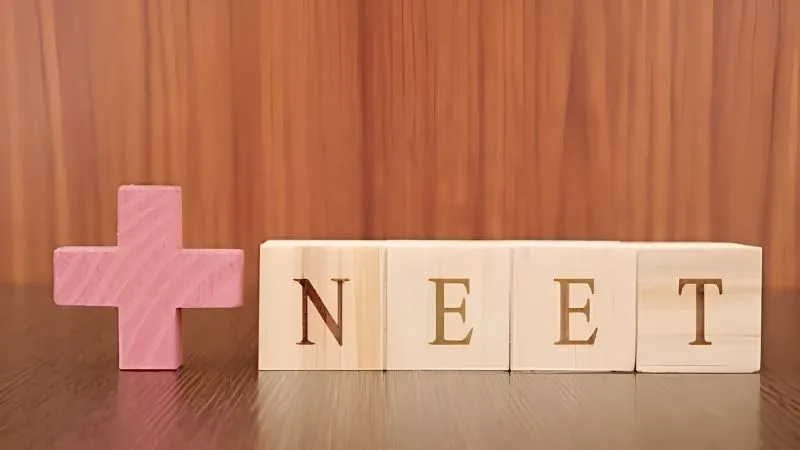 न पासपोर्ट, न वीजा... NEET री-एग्जाम से पहले छात्र को मिला UAE में सेंटर, NTA की बड़ी लापरवाही सामने आई