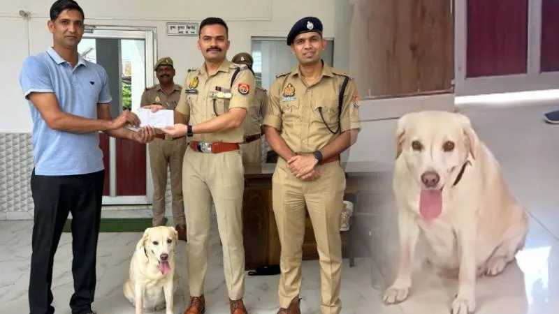 पुलिस हुई नाकाम तो डॉग मैरी बनी मददगार, एक गमछे से सुलझाया ब्लांइड रेप केस, संभल SP ने दिया 10 हजार का ईनाम