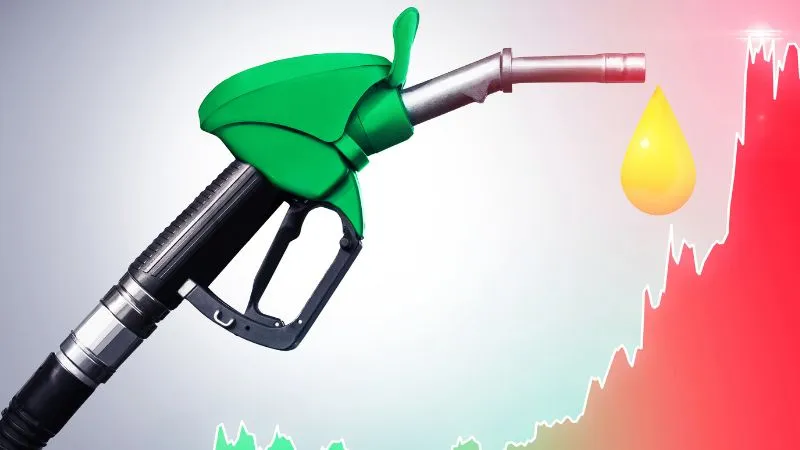 अब इथेनॉल मिक्स पेट्रोल के खिलाफ उठी आवाज… CJP की तर्ज पर बन गई ‘E20 जनता पार्टी’, सोशल मीडिया पर खोल दिया मोर्चा