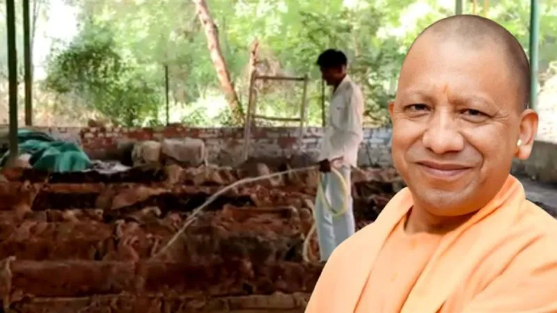 गांव-गांव पहुंचेगी गोबर गैस, योगी सरकार ने तैयार किया बड़ा ग्रीन एनर्जी प्लान