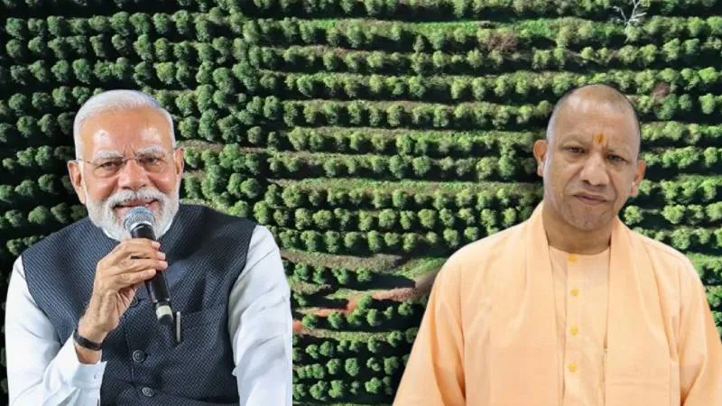 PM मोदी ने 'मन की बात' में की तारीफ, बोले- उत्तर प्रदेश से सांसद होने के नाते मेरे लिए ये विशेष गर्व की बात