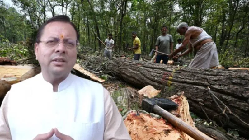 सात मोड़ वन क्षेत्र में पेड़ों की कटाई पर रोक, सीएम धामी बोले- सहमति बनने तक नहीं होगा काम