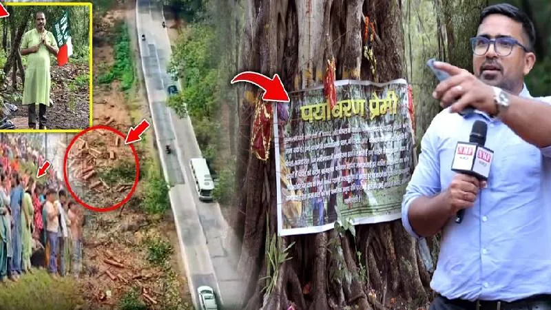 मुख्यमंत्री के ऐलान से सारी तस्वीर हो साफ़ हो गई, पेड़ कटने का सच रिपोर्टर ने ढूंढ निकाला!