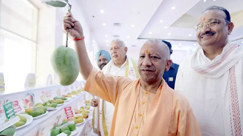 आम की फसल से काफी मुनाफा कमा रहे किसान, देश में 26 फीसदी आम का उत्पादन करता है उत्तर प्रदेशः सीएम योगी