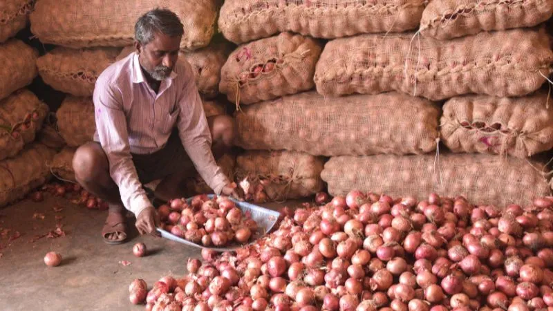 अब आंखों में आंसू नहीं लाएगा प्याज का दाम, मोदी सरकार ने त्योहार से पहले बनाया बड़ा प्लान; खोला बफर स्टॉक