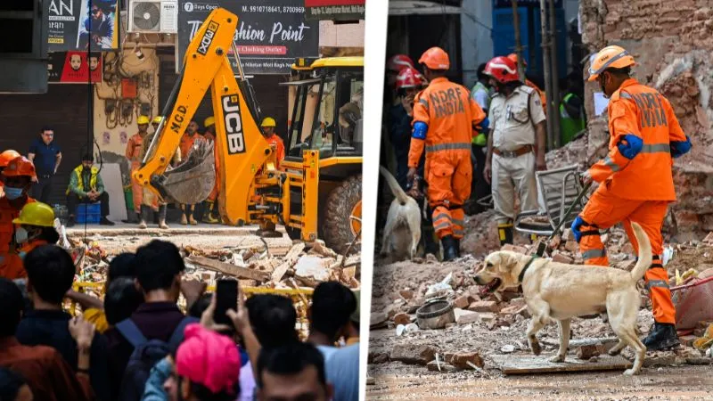 'बिल्डिंग मालिक ही नहीं, MCD भी जिम्मेदार...', सत्य निकेतन हादसे में HC की सख्त टिप्पणी, सरकार, DU समेत 6 को नोटिस