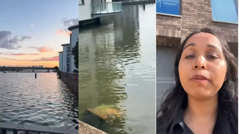'अपनी संस्कृति को बढ़ावा देना है ना...', टेम्स नदी से NRI महिला का VIDEO वायरल, गणपति विसर्जन पर छिड़ी बहस