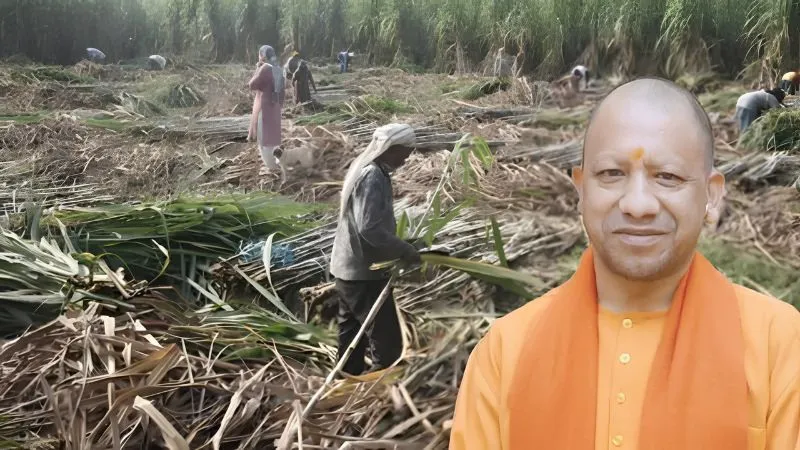 UP में भारी बारिश के बीच CM योगी का अधिकारियों को सख्त आदेश, फसलों के नुकसान का तत्काल आकलन कर दें मुआवजा