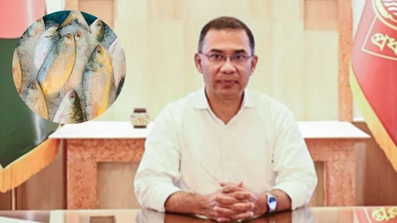 कभी बांग्लादेश से भारत आती थी हिल्सा, अब उल्टा हुआ कारोबार, दिल्ली ने भेजी 500 टन मछली