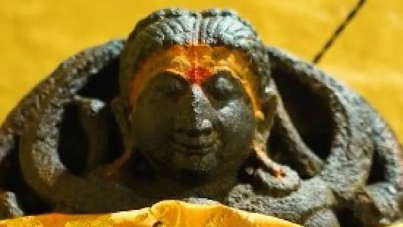 उत्तराखंड में यहां ध्यान मुद्रा में विराजते हैं भगवान विष्णु, जानें श्री ध्यान बद्री मंदिर की खासियत
