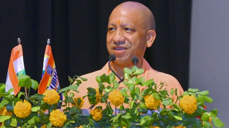 UP इंटरनेशनल ट्रेड शो में शामिल होंगे जिले के 10 कालीन कारोबारी, नए विदेशी कारोबारियों से रूबरू होने का मिलेगा मौका, कारोबार को लगेंगे पंख
