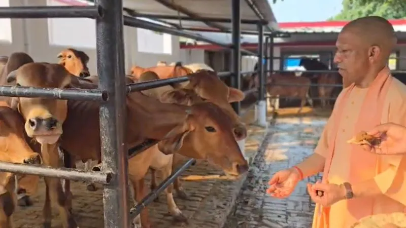 यूपी के सभी 75 जिलों में खुलेंगे गो आधारित उत्पादों के आउटलेट, ग्रामीण रोजगार को मिलेगा बढ़ावा