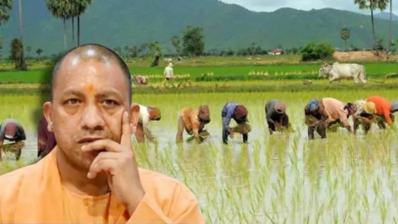 धान खरीद में योगी सरकार का बड़ा रिकॉर्ड, पूर्ववर्ती सरकार की तुलना में 152% अधिक किसानों को मिला लाभ