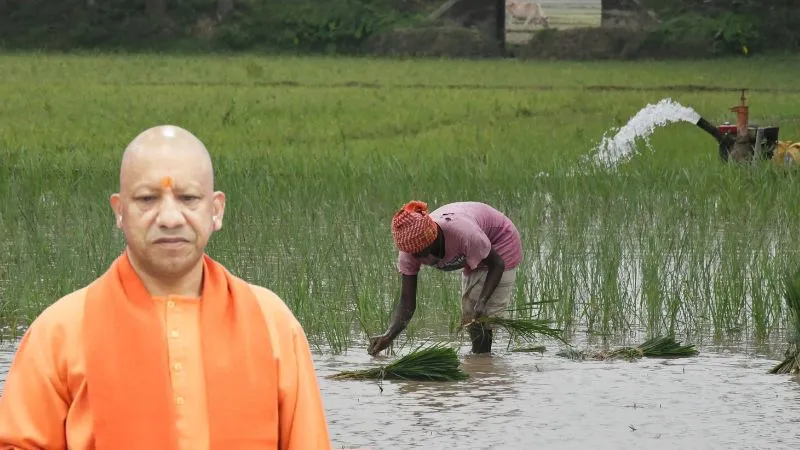 बाढ़-बारिश में बर्बाद हुई फसलों के नुकसान की होगी भरपाई, गोरखपुर से किसानों के खातों में धनराशि भेजेंगे CM योगी