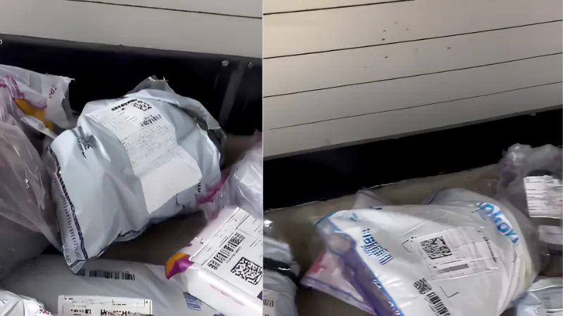 डांडिया खेला, फोटो खिंचवाई और फिर ड्रेस रिटर्न! सोशल मीडिया पर वायरल वीडियो देख भड़के लोग, बोले- 'हद बेशर्मी है