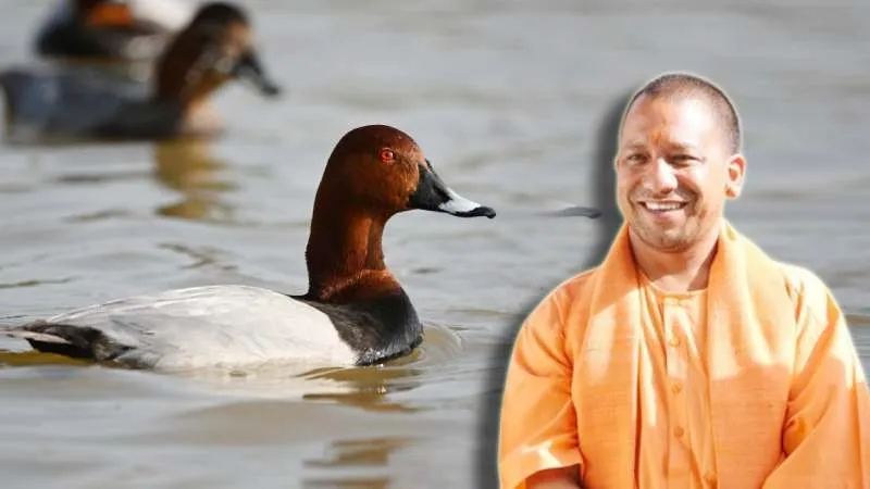 मैनपुरी की सौज झील को मिला रामसर साइट का दर्जा, CM योगी ने दी बधाई