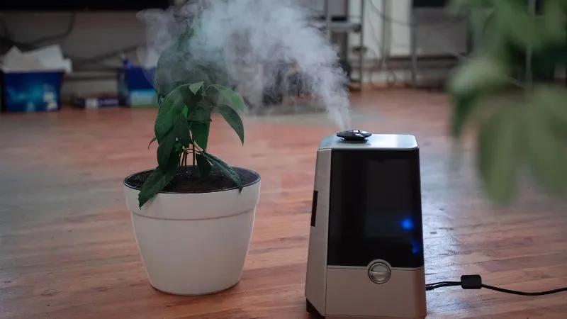 दिवाली से पहले Flipkart का बड़ा धमाका! Air Purifier पर मिल रहा 76% तक का डिस्काउंट