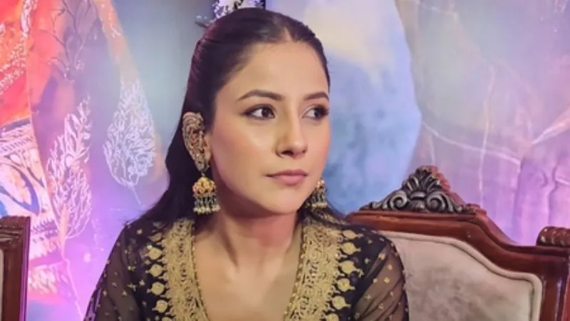 ‘जब मेरे पास कपड़े नहीं थे...’, BB20 के इस कंटेस्टेंट के सपोर्ट में आईं शहनाज गिल, कहा- वो एक 'नेक' दिल इंसान हैं