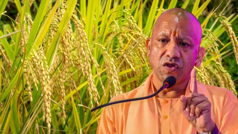 देश में धान खरीद में अपना ही रिकॉर्ड तोड़ेगी योगी सरकार, इस बार 65 लाख मीट्रिक टन का लक्ष्य