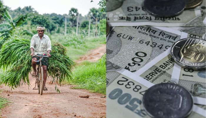 PM Kisan Yojana: किसानों के खाते में इस दिन आएगा 17वीं किस्त के ₹2000, यहां देखें पूरी जानकारी