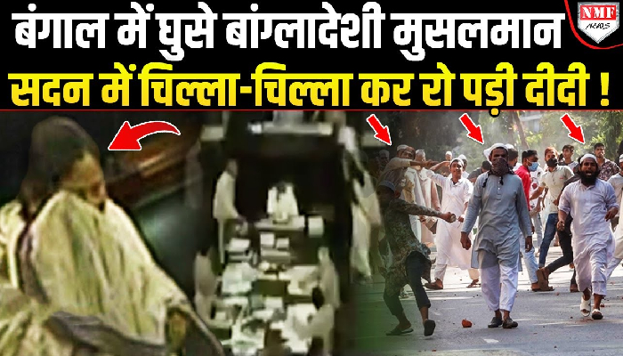 कभी घुसपैठियों के खिलाफ ममता ने अकेले लड़ी लड़ाई, स्पीकर के सामने फेंका था कागज !
