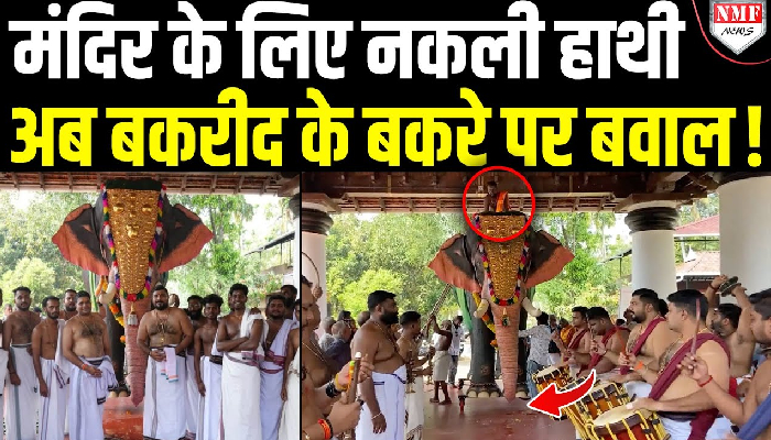 मंदिर के लिए PETA ने बनाया नकली हाथी, तो बकरीद पर मचा बवाल