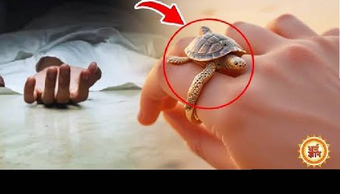 नववर्ष 2025 में कछुए की अंगूठी पहनना, किसको पड़ सकता है भारी