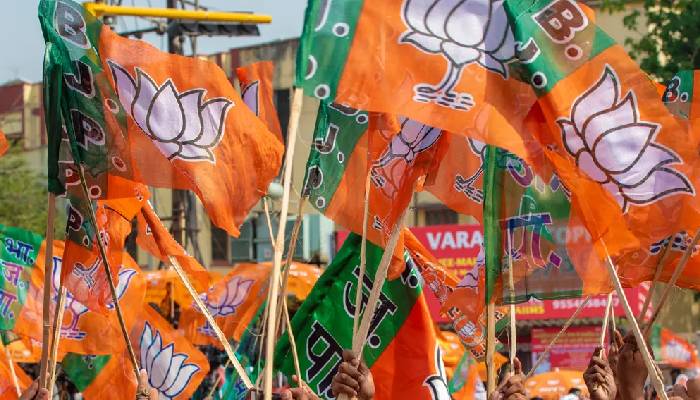 दिल्ली चुनाव:  BJP ने फिर जारी किया AAP के ख़िलाफ़ पोस्टर, कहा-'जनता आप-दा को उखाड़ फेंकेगी'