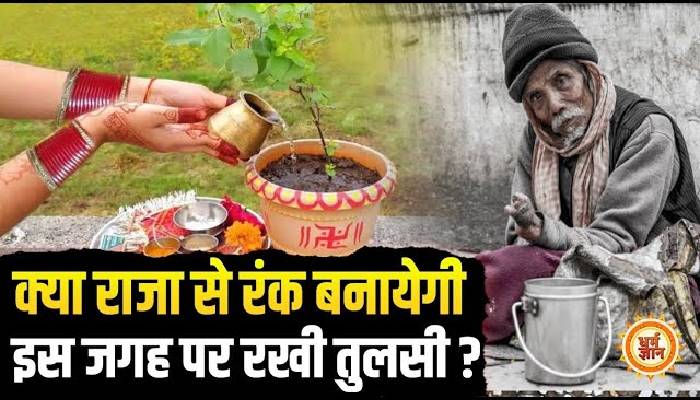 अपने घर में गलती से भी इन जगहों पर रखा तुलसी का पौधा, तो आएगी कंगाली