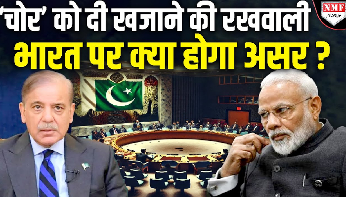UNSC में पाकिस्तान को मिली पावर का मतलब क्या, भारत के लिए बनेगी सिरदर्द ?