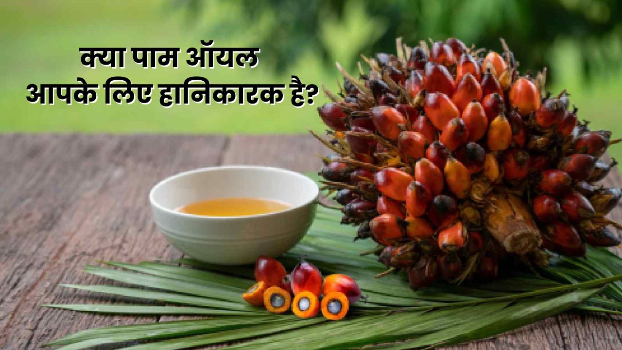 पाम ऑयल के वायरल मैसेज की सच्चाई, क्या सचमुच है स्वास्थ्य के लिए खतरा?