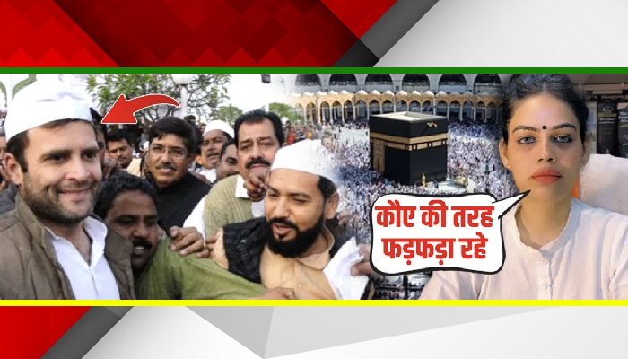 Rahul के झूठ का पर्दाफास, खतरें में दिखा राजनीतिक भविष्य को बौखला उठे