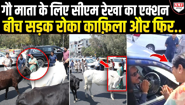 रेखा गुप्ता का गौ प्रेम, सड़क पर क़ाफ़िला रोक कार वाले को समझाया