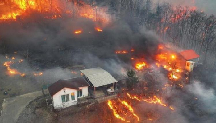 दक्षिण कोरिया में जंगल की आग ने मचाई तबाही, 26 लोगों की मौत, 30 घायल