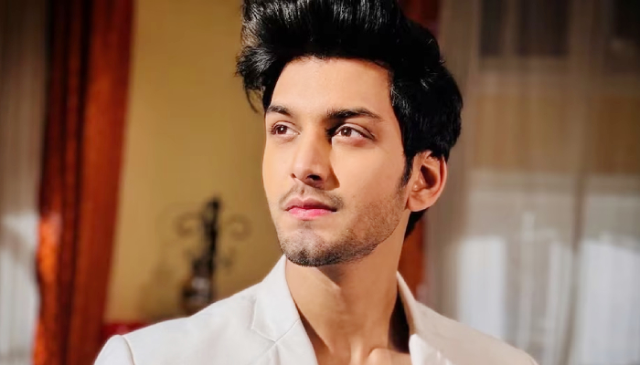 टीवी शो 'धरतीपुत्र नंदिनी' फेम 23 वर्षीय एक्टर की सड़क हादसे में मौत