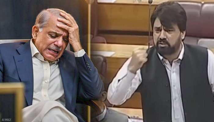 'बुजदिल है पीएम शहबाज, मोदी का नाम लेने से डरता है...', पाकिस्तानी सांसद ने गीदड़ से की अपने प्रधानमंत्री की तुलना