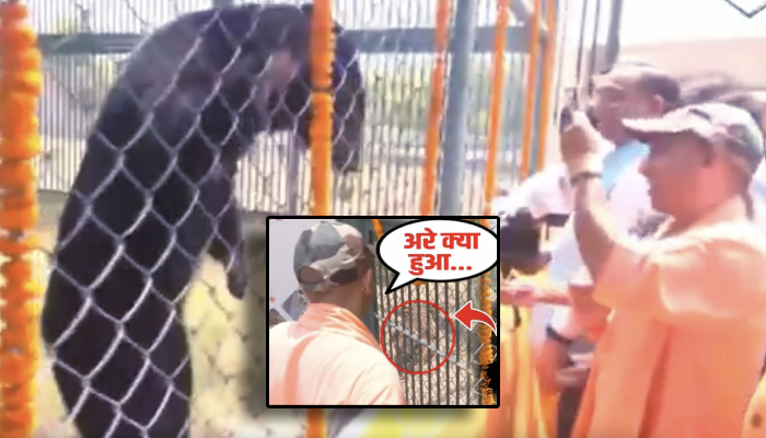जैसे ही गुस्सा हुआ गैंडा और Tiger अचानक देखा CM योगी ने और फिर देखिए क्या हुआ