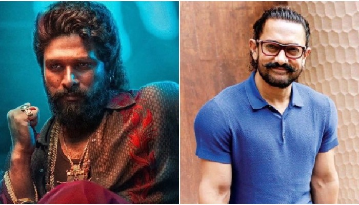 Pushpa 2 की सफलता पर Aamir Khan ने ऐसा क्या कहा, Allu Arjun ने तुरंत दिया जवाब  !
