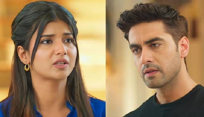 Yeh Rishta Kya Kehlata Hai: Armaan - Abhira के लिए सेरोगेट मदर बनेगी Ruhi, दादी सा करेगी बवाल !